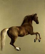 Whistlejacket. National Gallery, London.